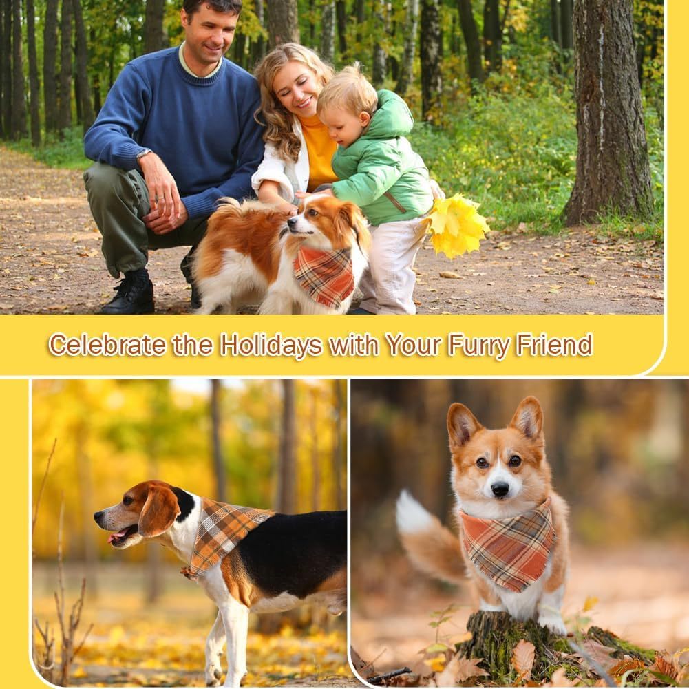 Dog Bandana With Tassels